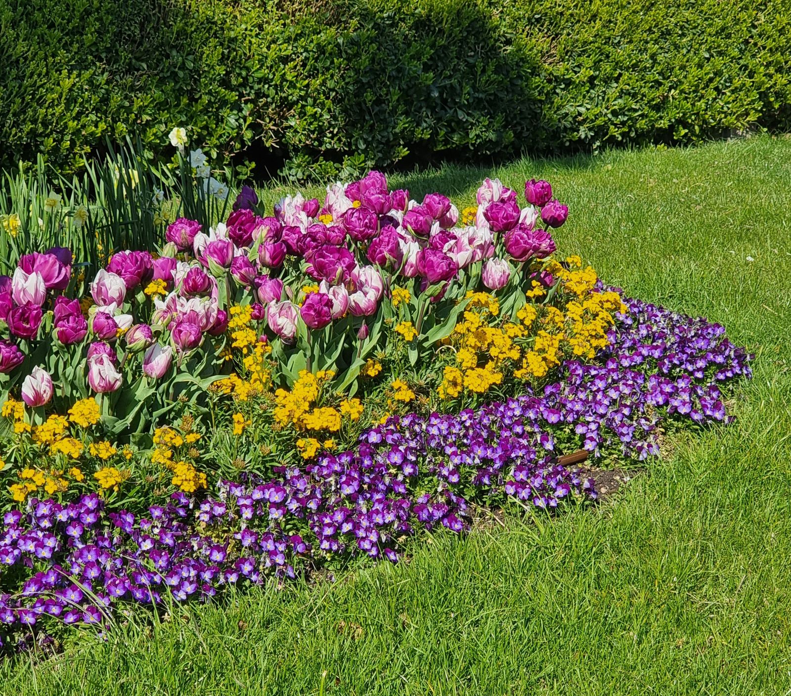 Cottage garden beds in full bloom