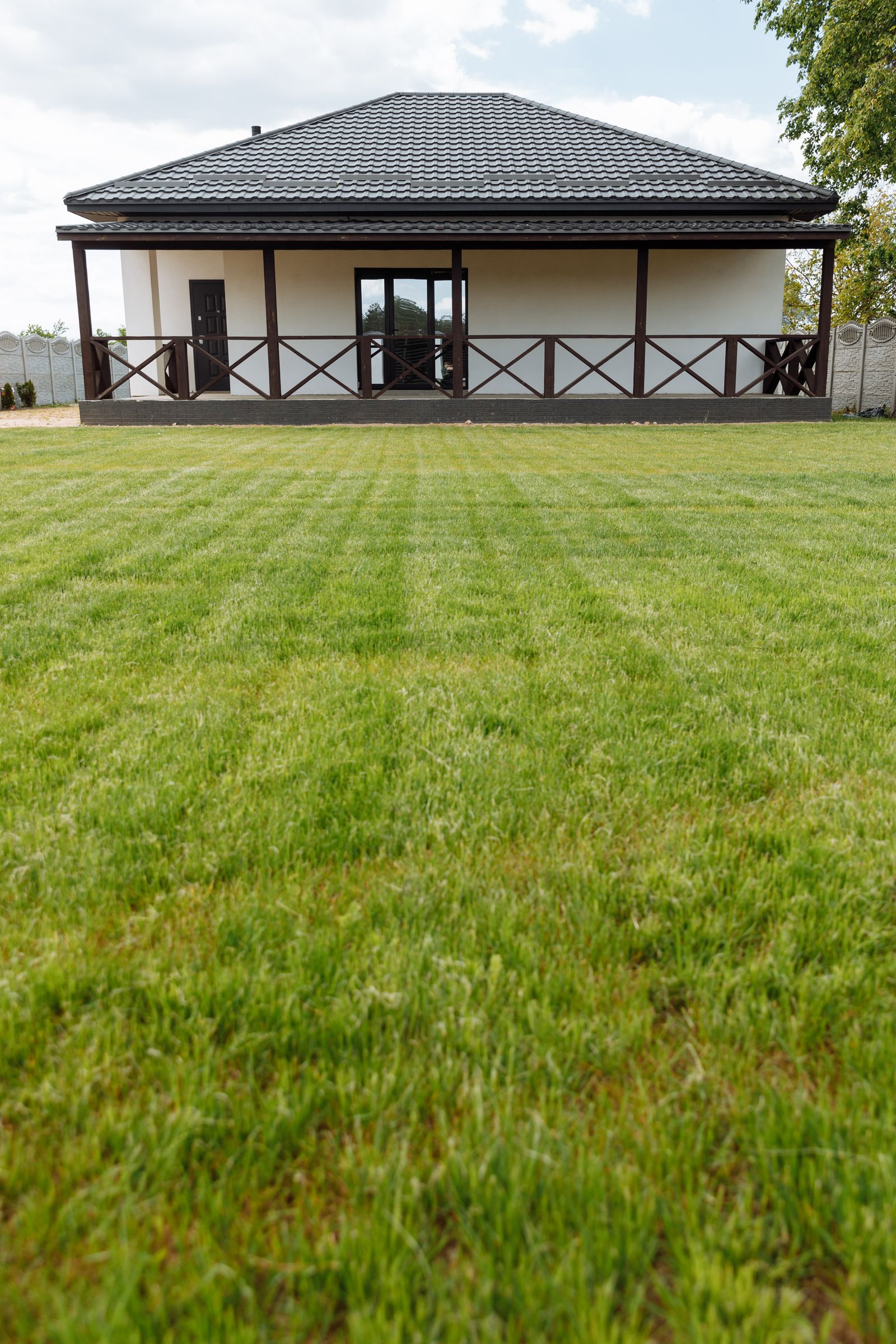 Healthy green lawn