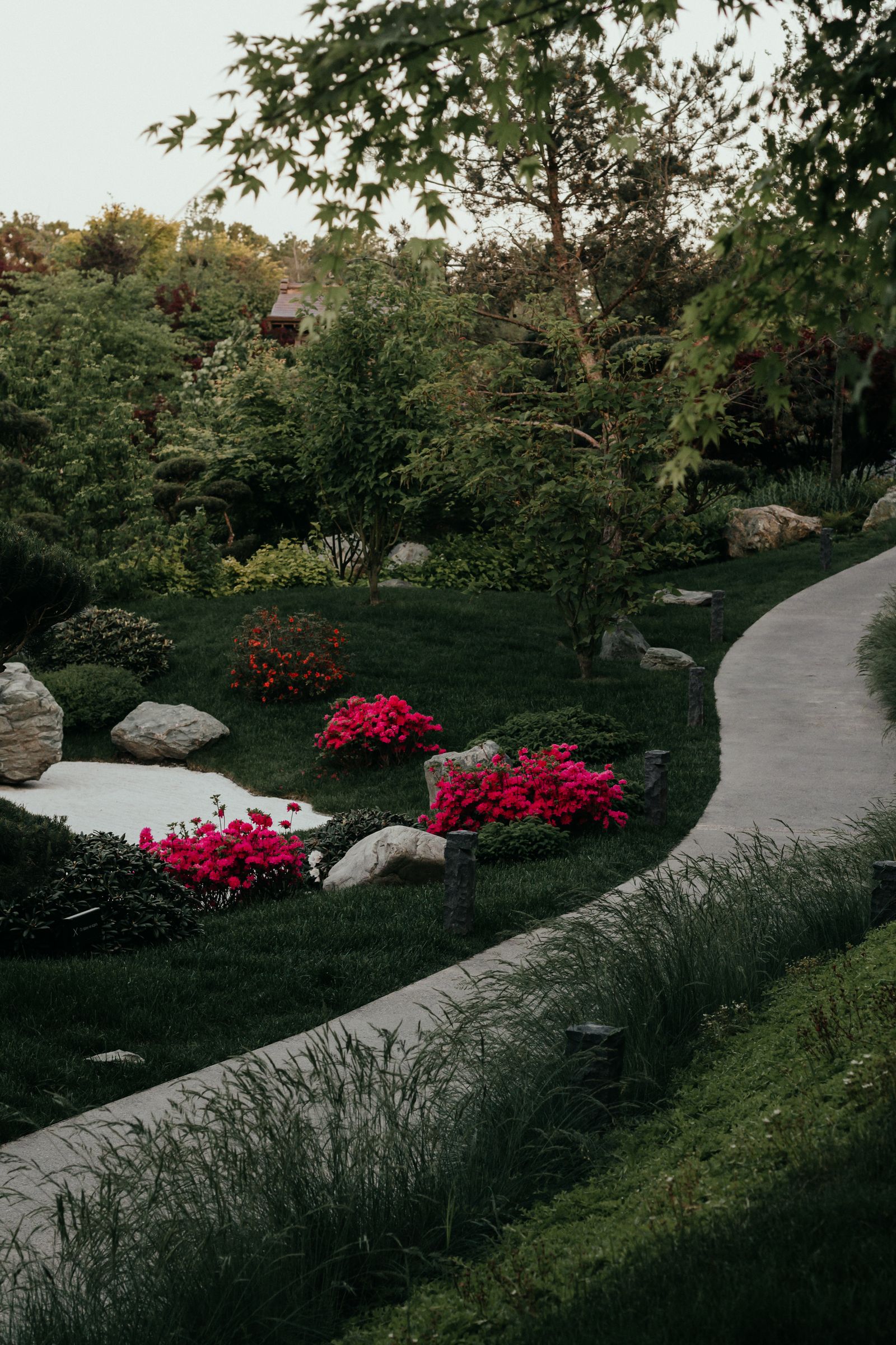 Manicured garden walkway with flowering shrubs