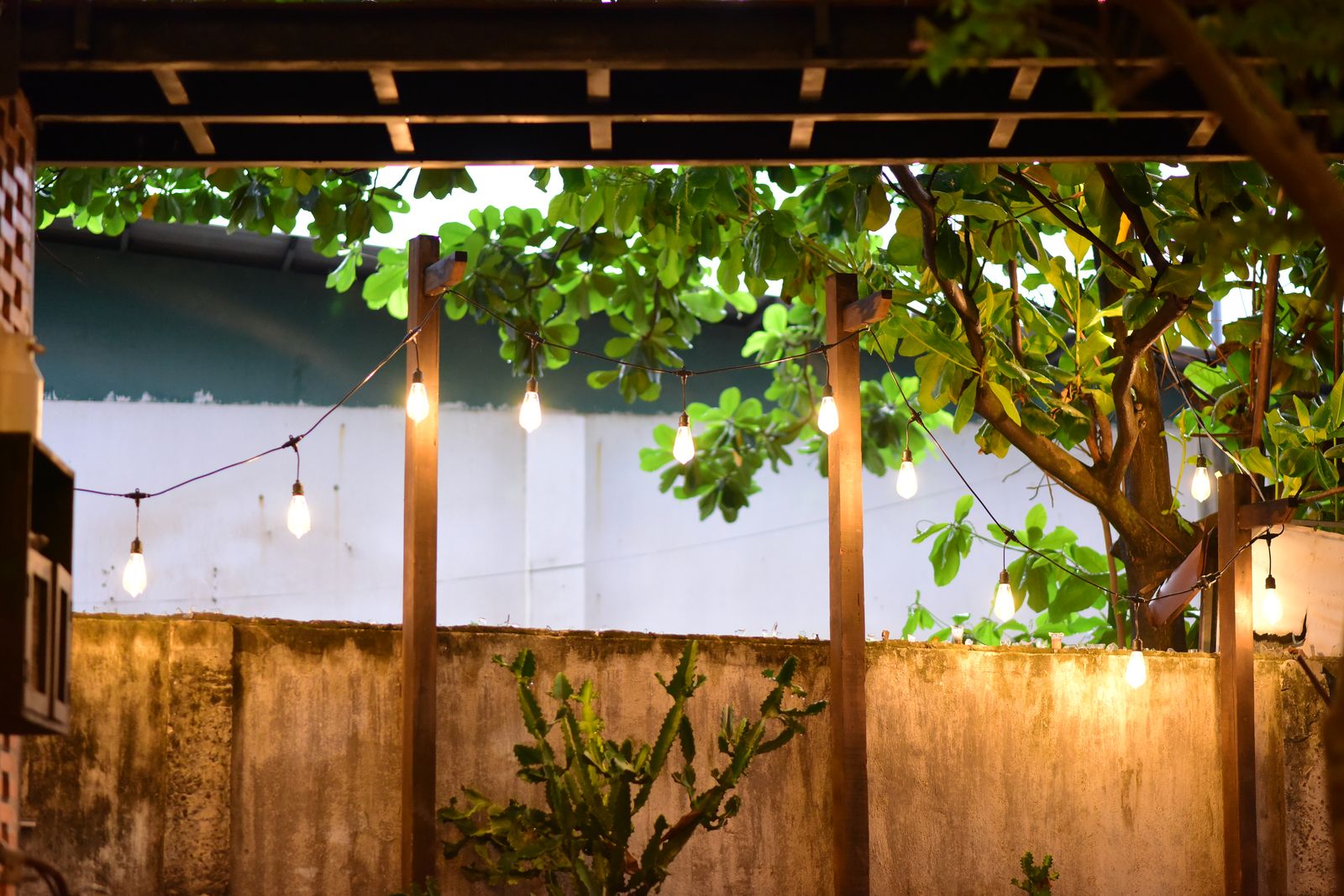 String lights glowing over a backyard patio