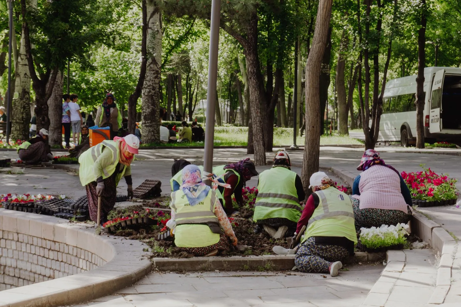Garden crew planting flowers in prepared beds