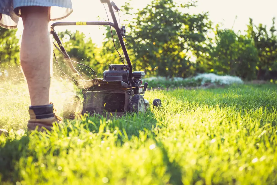 Push mower cutting a bright green lawn in low sun