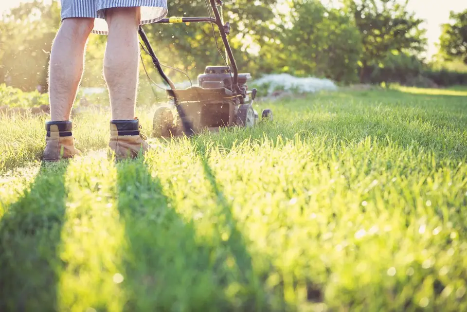 Mower crossing a sunlit lawn with trees behind