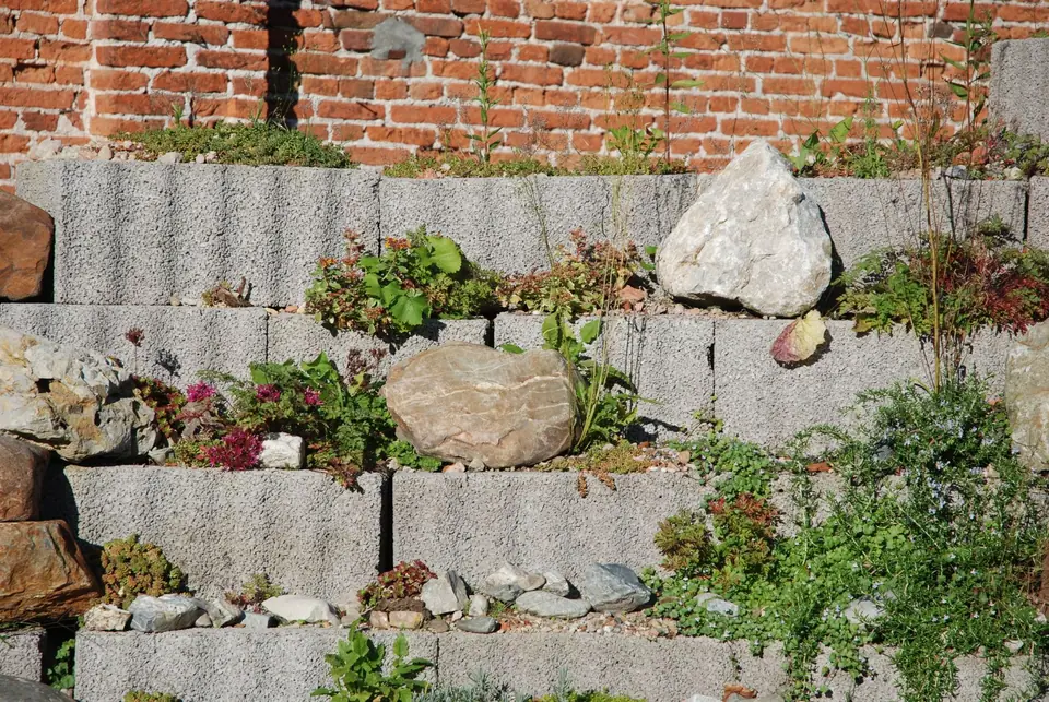 Flowering plants growing from the gaps in a stepped stone wall
