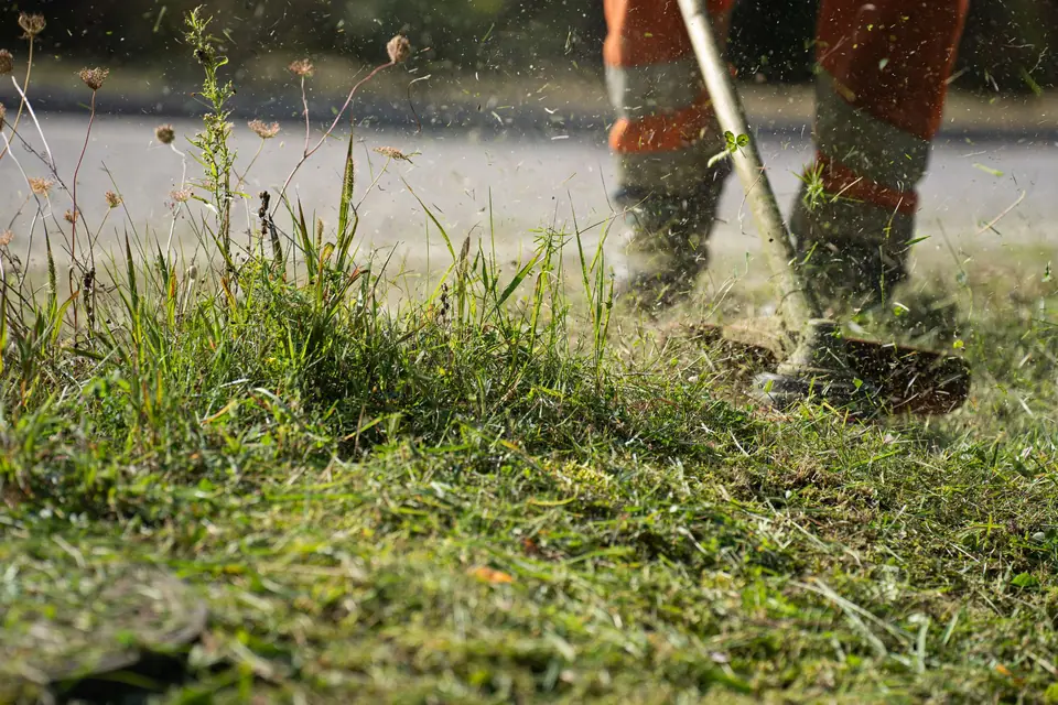 String trimmer cutting long grass at the edge of a lawn